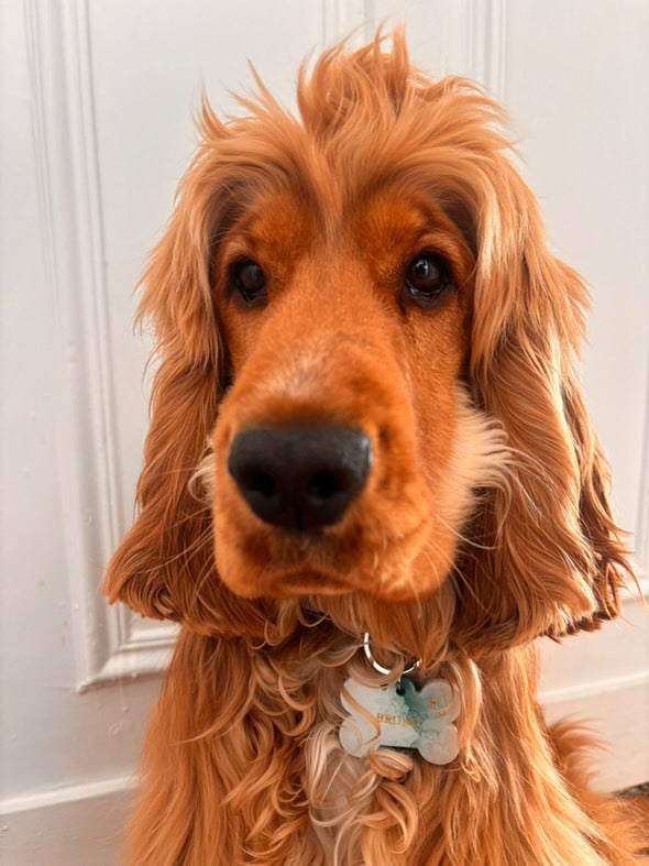 Je personnalise ma médaille