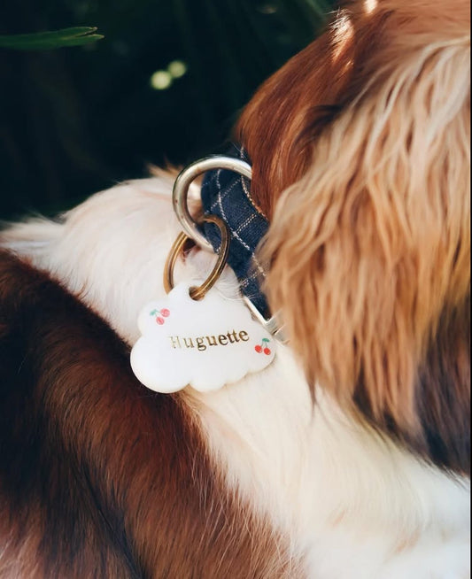 Un projet ou une demande particulière :